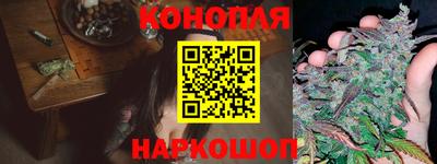 Альфа ПВП Будённовск