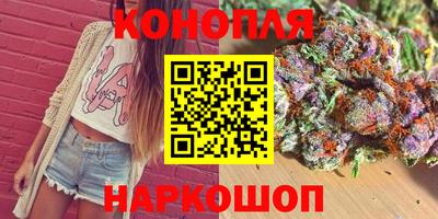 Альфа ПВП Будённовск