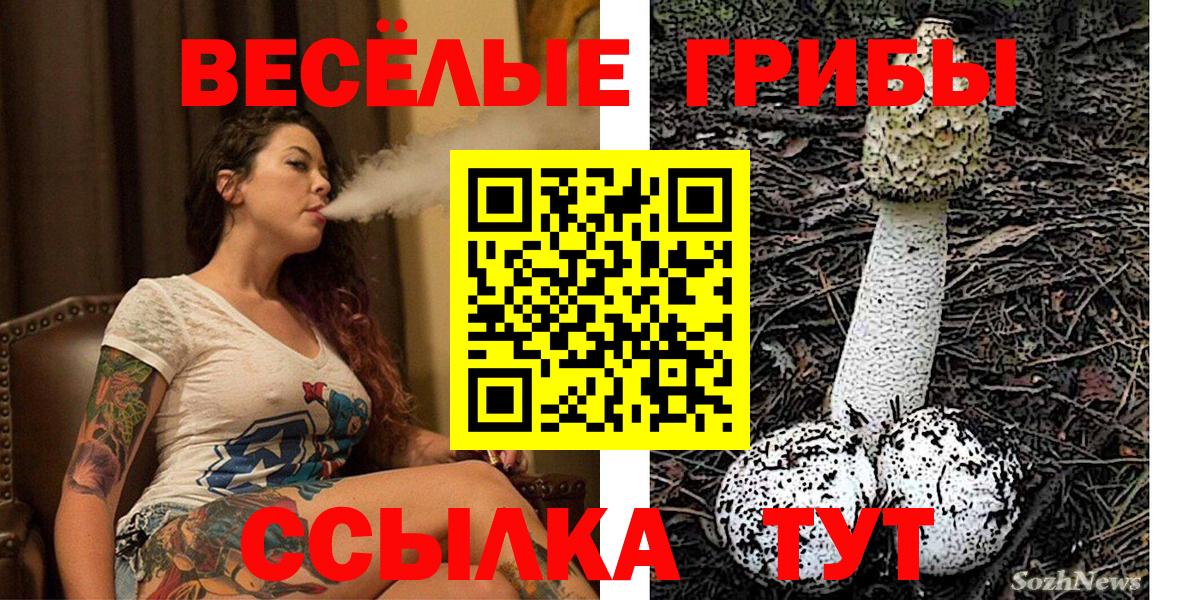 Галлюциногенные грибы Magic Shrooms  где купить   Псилоцибиновые грибы мицелий  Коркино  Вход с VPN 